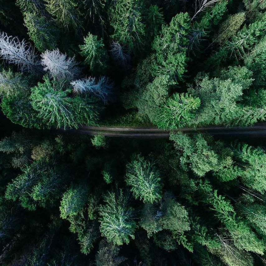 Photo by Geran de Klerk